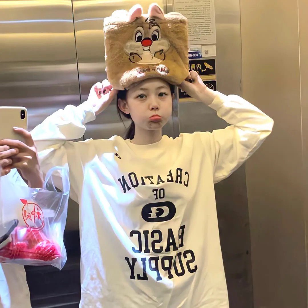 《铁耙》封面